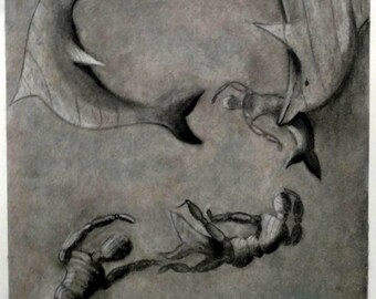 Metamorphosis
