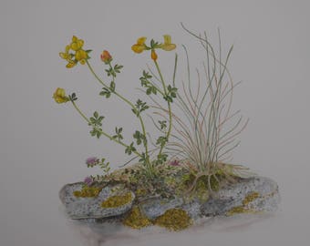 Original Flower Painting