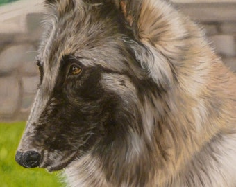 Custom Pet Portrait 8"x10", Oil on Gessobord from your photo by Cynthia Brassfield