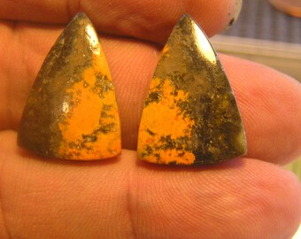 Bumblebee Jasper Freeform Designer Cabochons Pair