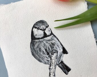 Blue Tit, Original Ink Drawing