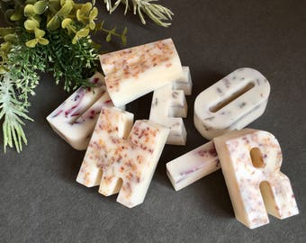 Scented Free Standing Letters, Soy Wax Decorative Letters with Dried Flowers, Air Fresheners, Letter Home Decor, Personalized Gift, Favors