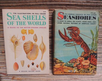 Vintage Sea Shells & Seashores Golden Nature Guides 1955 and 1962