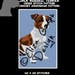 Jack Russell Terrier CROSS STITCH Pattern, CROCHET Graphghan Blanket Pattern