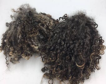 Washed Black/Brown Wensleydale Locks, 50g