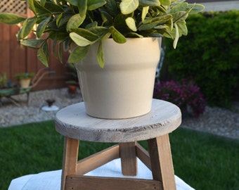Milking Stool / Garden Plant Stand / Farmhouse Style Decorative Step Stool / Rustic Home Decor / Wood Stool Riser / Off-White Home Accent