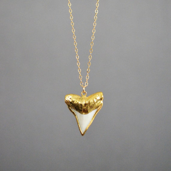 Shark Tooth Necklace Real Shark Tooth Necklace Gold
