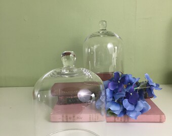 Clear Glass Cloche Bell Jar with Knob 5 Inch