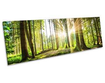 Green Countryside Forest Print CANVAS WALL ART Panoramic Picture