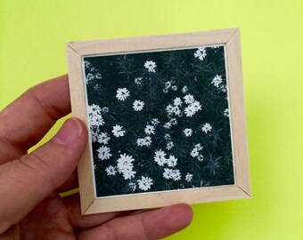Dollhouse Art Print in Wooden Frame (Daisies)