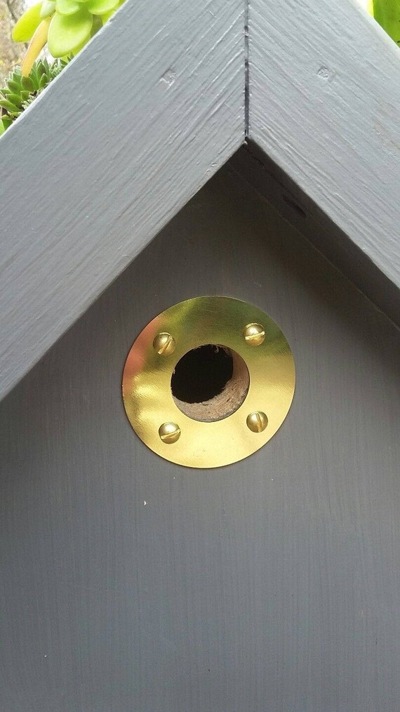 Bird House Nest Box Hole Protector Lasercut Brass Various