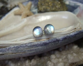 Rainbow Moonstone Blue Tint 6mm Stud Earrings Earings Titanium Post and Clutch Hypo Allergenic Handmade in Newfoundland Icy Cool