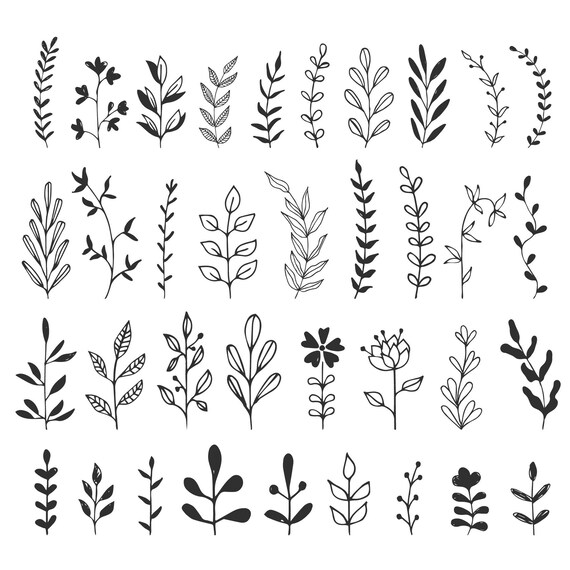 Download Herbs branches flourishes. Svg. DXF. PNG. EPS.