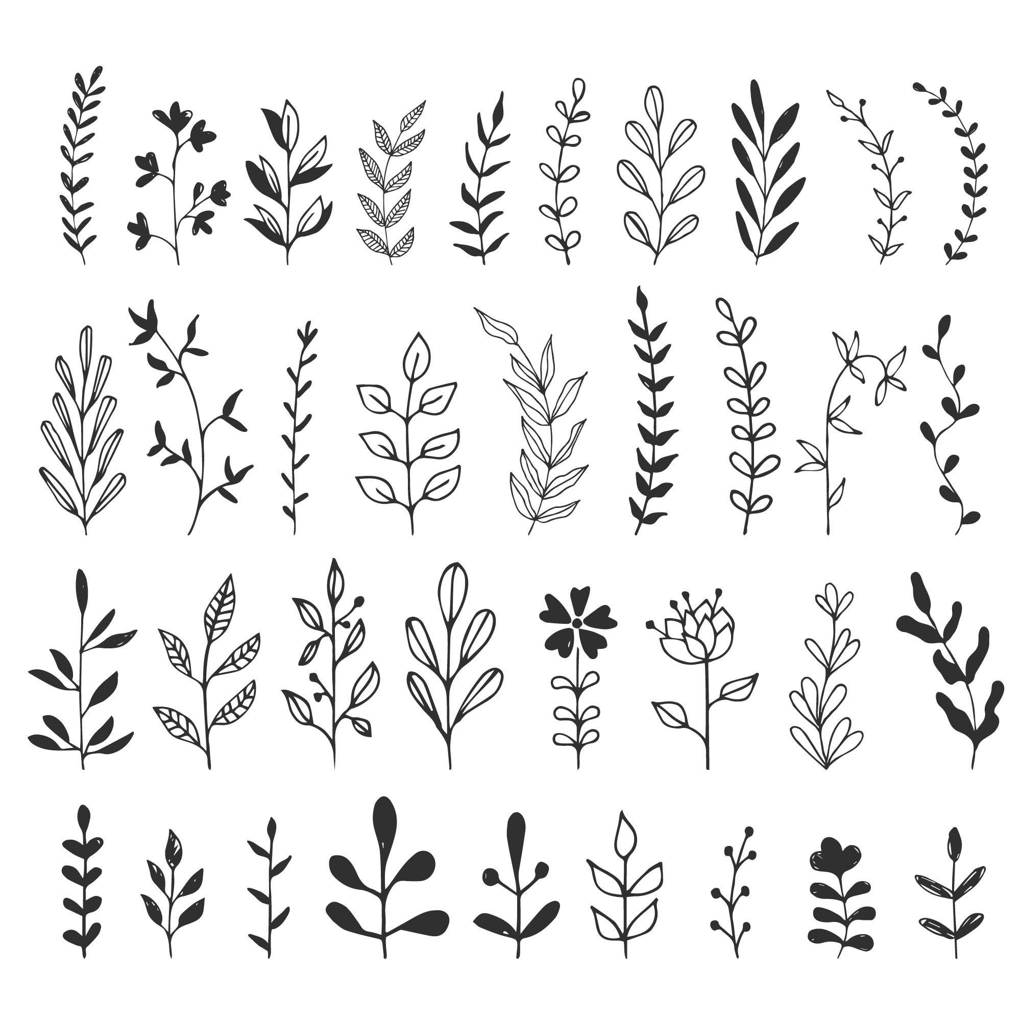 Download Herbs branches flourishes. Svg. DXF. PNG. EPS.