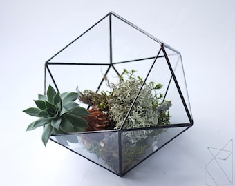 Geometric terrarium/terrarium Icosahedron/terrarium/glass planter/glass florarium/hanging terrarium/terrarium geometric/succulent planter