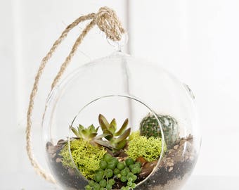 Hanging terrarium glass ball