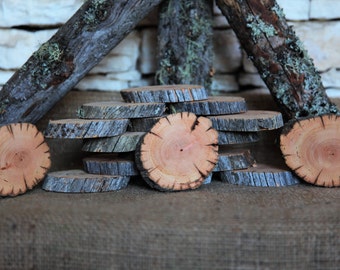 12 Ancient Douglas Fir Tree Slices - 3" to 4"