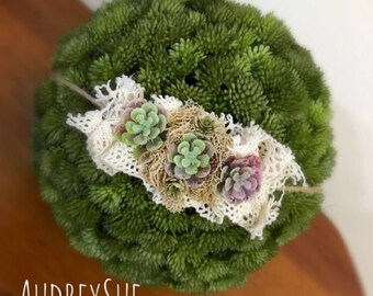 Newborn Tieback-Succulent with lace and moss