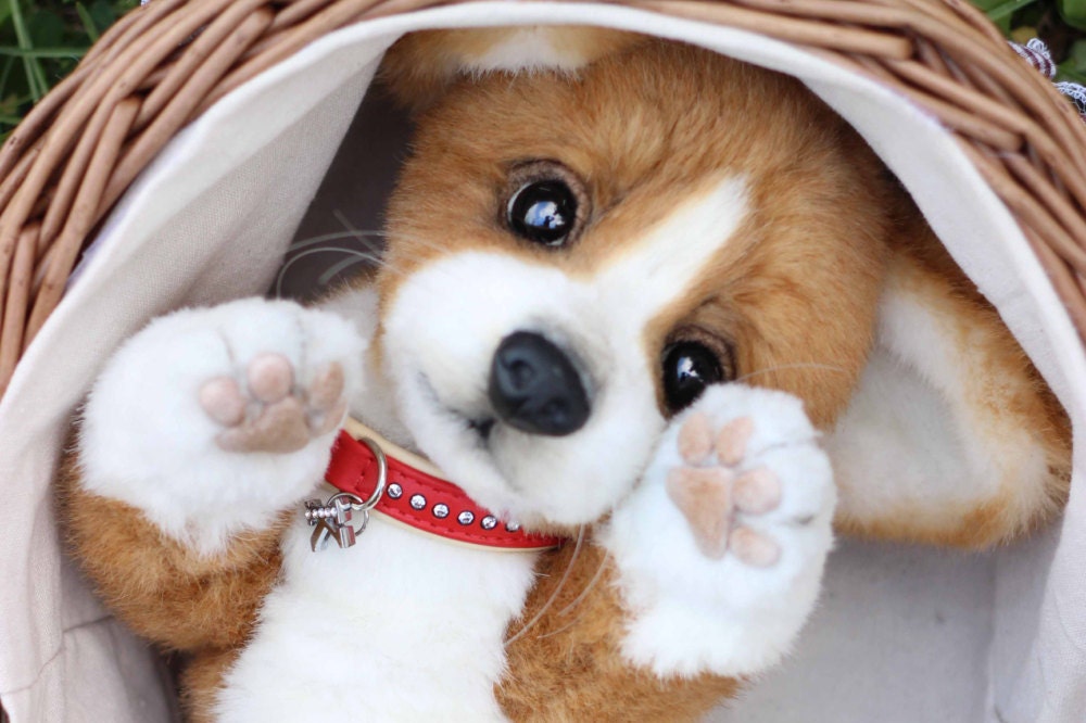 realistic stuffed corgi