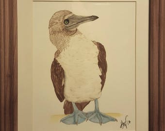 Watercolor Pencil Blue Footed Booby Painting Print