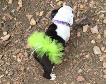 Apple Green Tutu For Dogs/Apple Green Tutu For Bulldogs/Pet Tutu