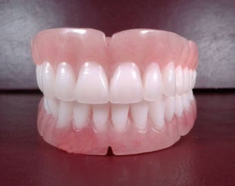 Dentures, set of false teeth BLEACH shade medium