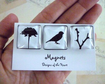 Black and White Birds - Square Glass Magnet set