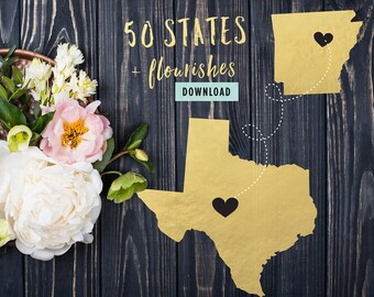 793 Files | 50 State Shapes Cut File Bundle for Cricut 50 United States SVG Bundle for Silhouette 50 States SVG Bundle Flourishes Commercial