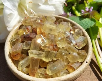 Sunny Golden Apatite Jewelry Sized Crystals - 1 set - Radiant Life Force, Prosperity, Manifestation, Fruition, Stimulant.