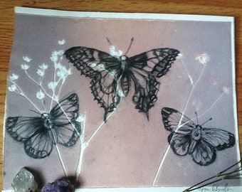 Original mixed media drawing - 3 butterflies