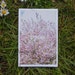 Postcard "SPRING" inspirational quote