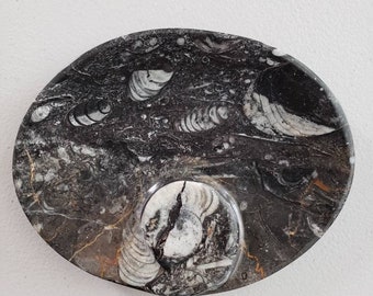 Carved ammonite orthoceras fossil dish