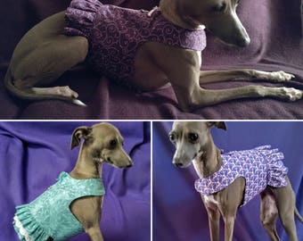 Italian Greyhound Halters