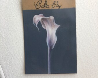 Original Miniature Calla Lily 2 (2 for 50)