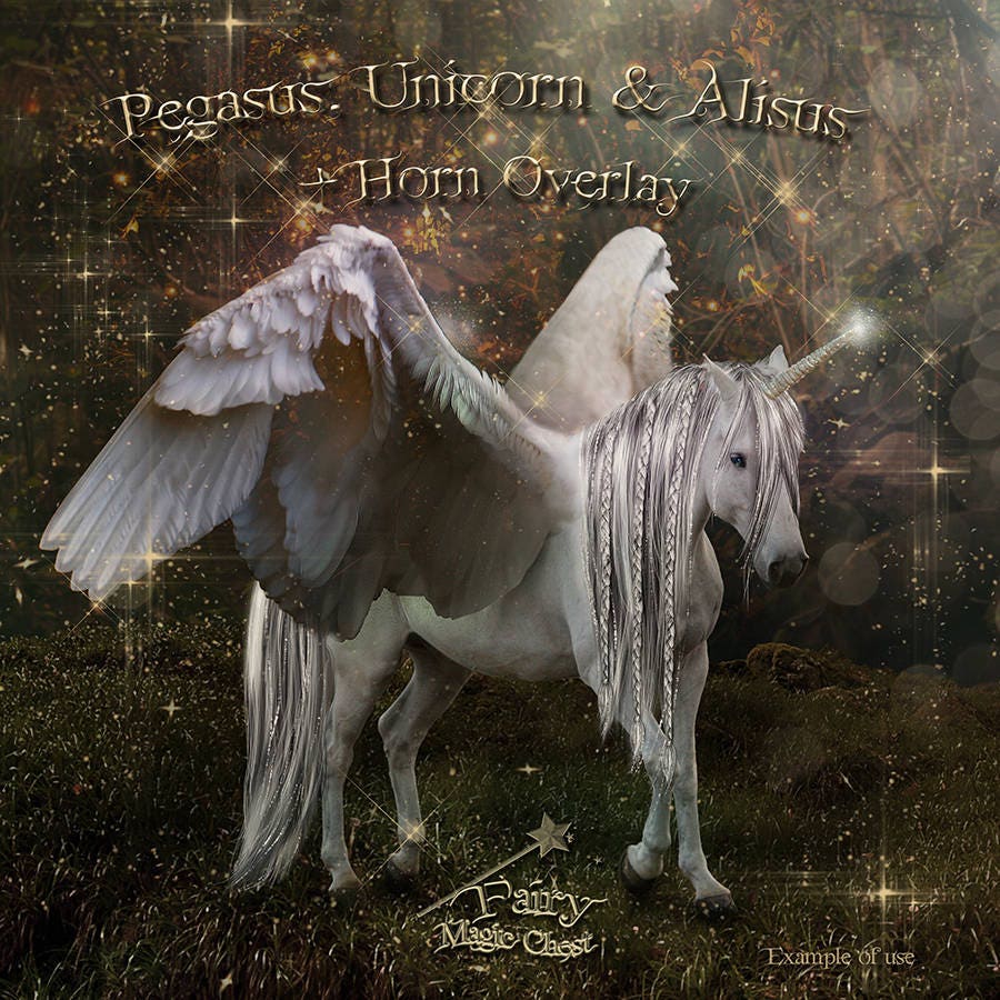 Pegasus vs unicorn Pegasus vs unicorn