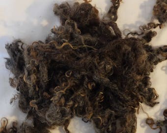 Brown Wensleydale Curls