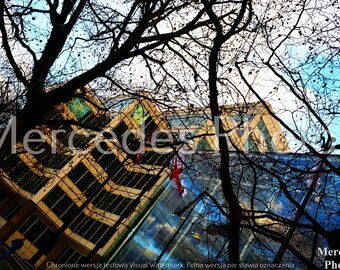 Unframed poster Buildings Behind the Trees Printable wall art, Home décor, Landscape photography, photo, picture, poster, image, Nikon D5200