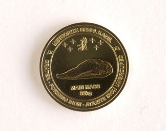 Meteorit Medaille Münze, Meteorit Gebel Kamil Gedenkmünze, Nordic Gold Münze, Geschenk für Männer Astronomen Meteoriten Sammler Space Fans