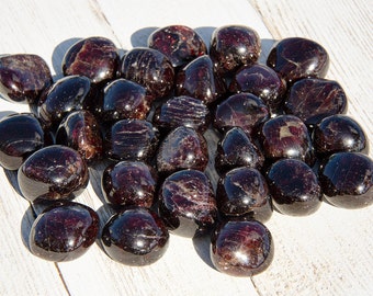 Polished Garnet Tumbled - Stone of Many Gifts