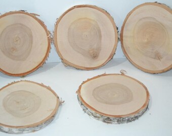 Birch Wood Slice with Bark 8" to 8 1/2" diameter x 1" thick. Set of Five