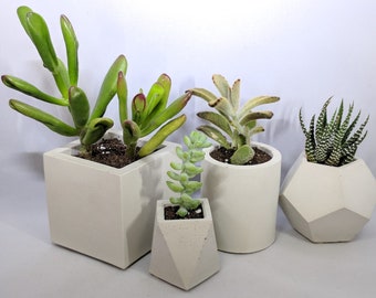 Succulent Planter | Concrete Planter | Planter | Geometric Planter | Concrete | Handmade Planter | Cube Planter | Planter Pot | Concrete Pot