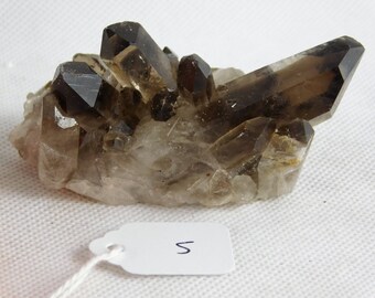 5) Smoky Quartz Crystal Point - Brazil Raw