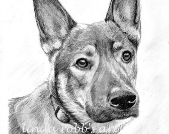 Custom Dog Pet Portrait Pencil 8x10 graphite pencil