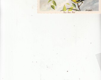 1960s Artist Ken Haag Postcard Iowa Eastern Goldfinch Bird Unused