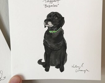 Mini pet portraits