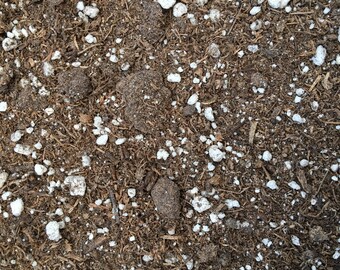 All Purpose Potting Soil 11 oz