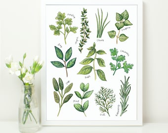 Culinary Herbs Kitchen Print. 10x8. Common Cooking Herbs. Botanical Study Style Illustration. Bay. Rosemary. Parsley. Sage.Chives. Coriander