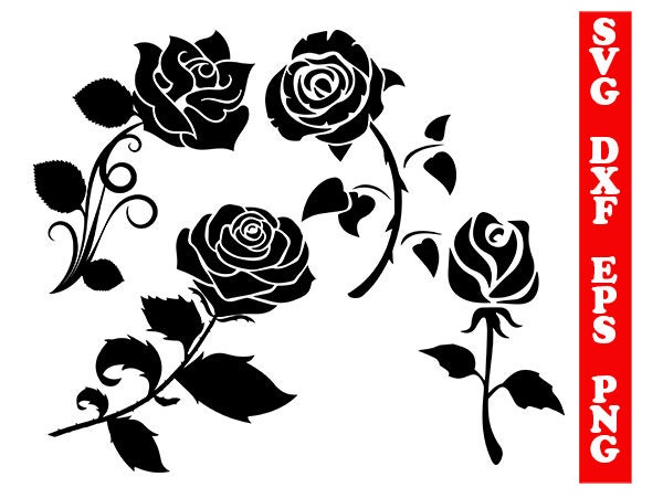 Rose svg, roses dxf, rose silhouette, roses clipart, svg shirts