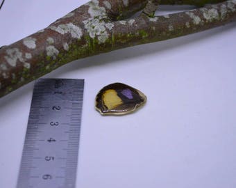 Double Cabochon Butterfly Wing