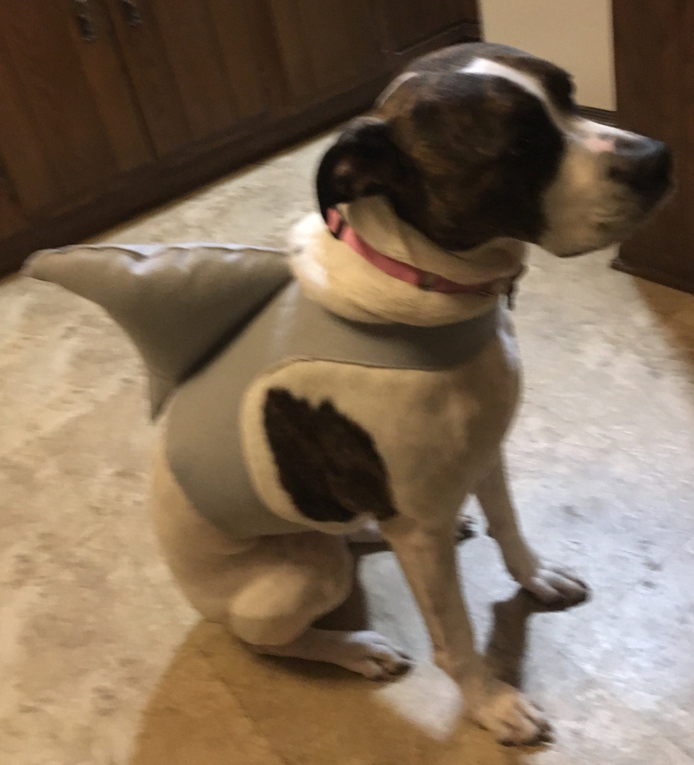 Shark Halloween dog costume Small Dog Harness dog harnesses